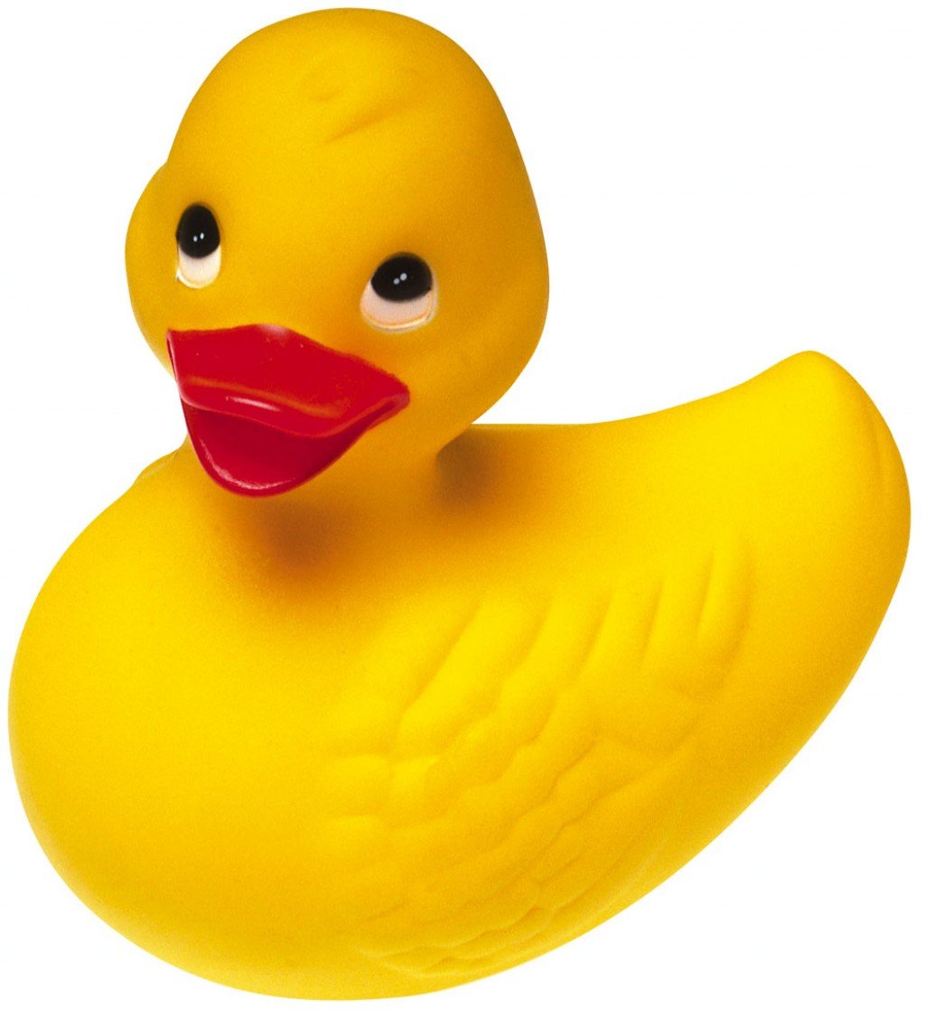 Rubber Duck | | Stltoday.com