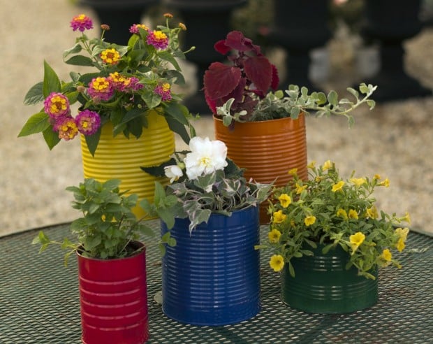 Create a colorful garden display with empty vegetable cans.