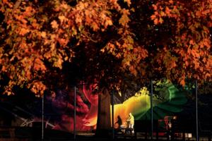 "Victory in St. Louis"  in the fall