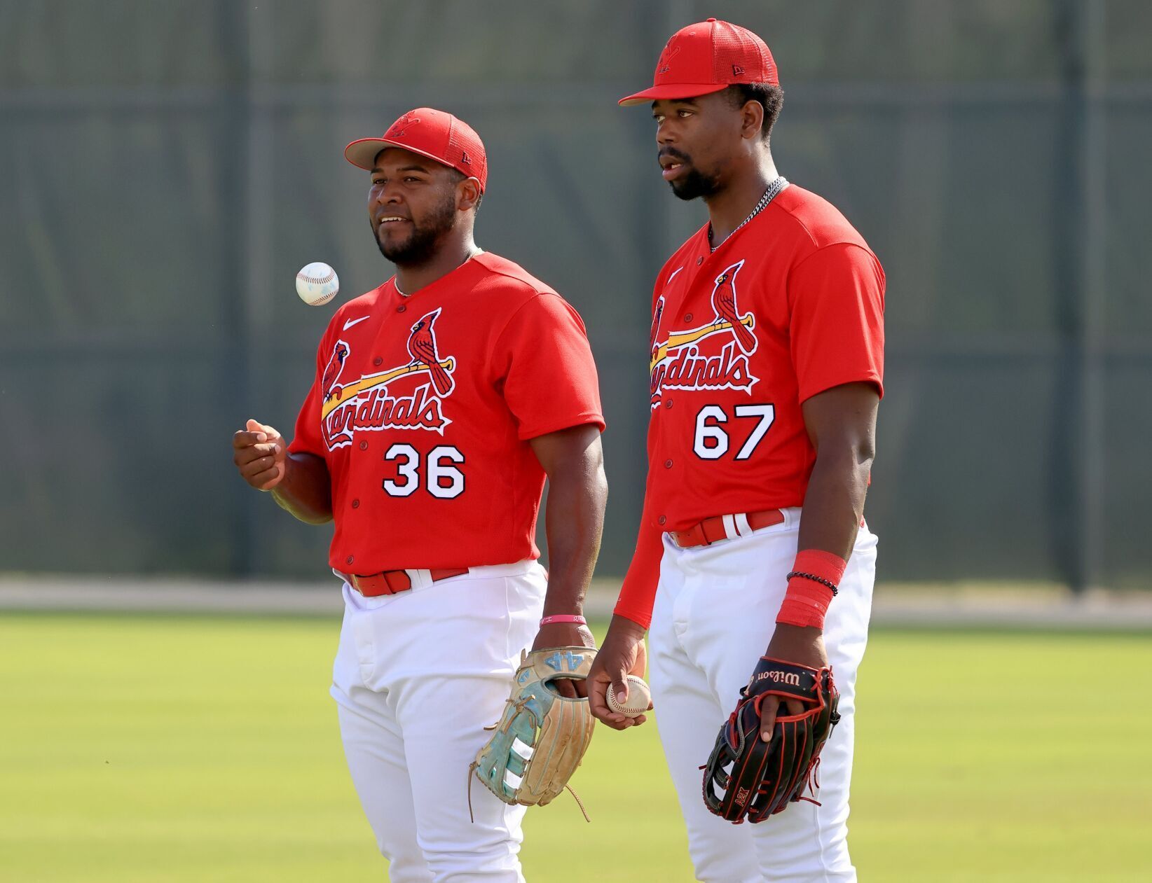 Minor League Report: Cardinals Prospect Jordan Walker Homers, Moises ...