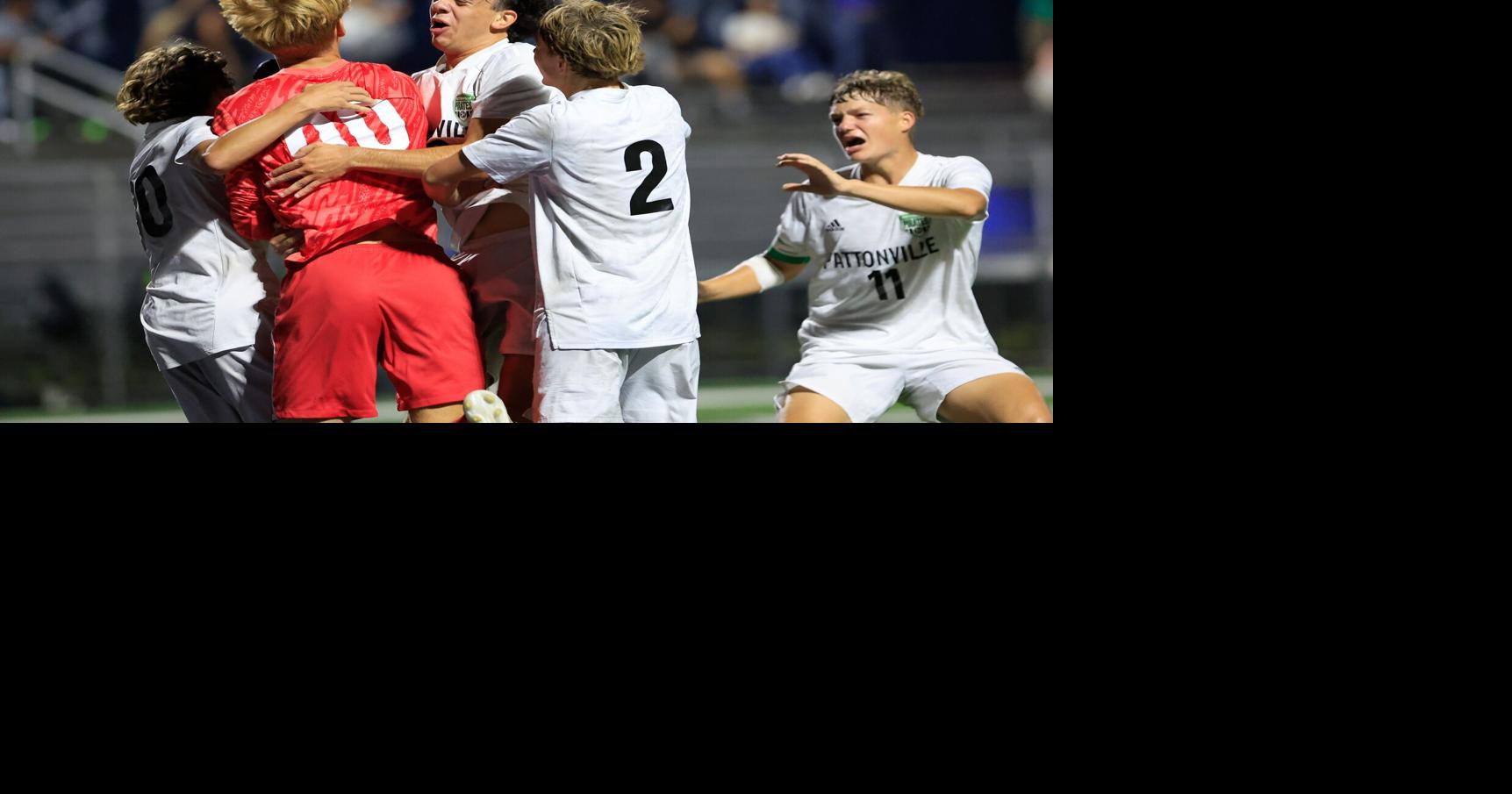 Early goal in second half lifts Pattonville over Troy for title in St ...