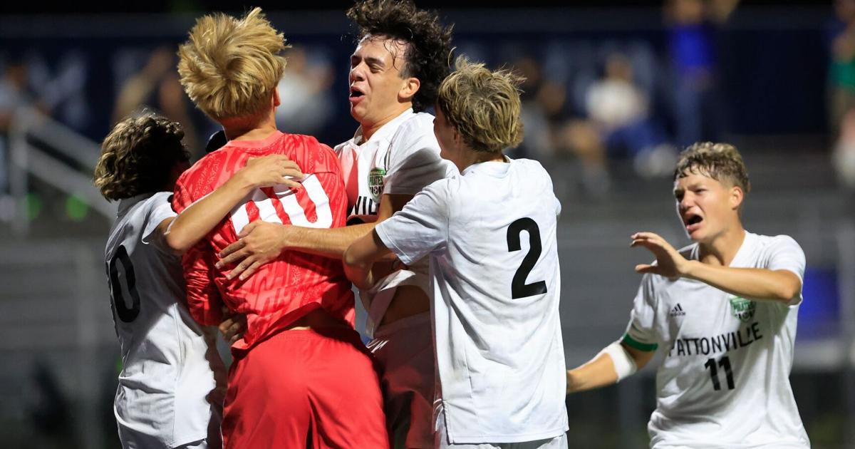 Early goal in second half lifts Pattonville over Troy for title in St ...
