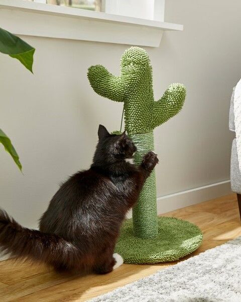 cactus shaped cat scratcher