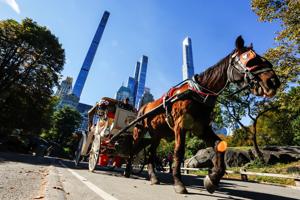 After generations, New York’s horse-drawn carriages face ban