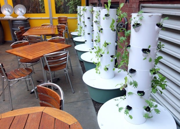 Greenhouse Update: Large Scale Hydroponics - Saint Louis Science Center