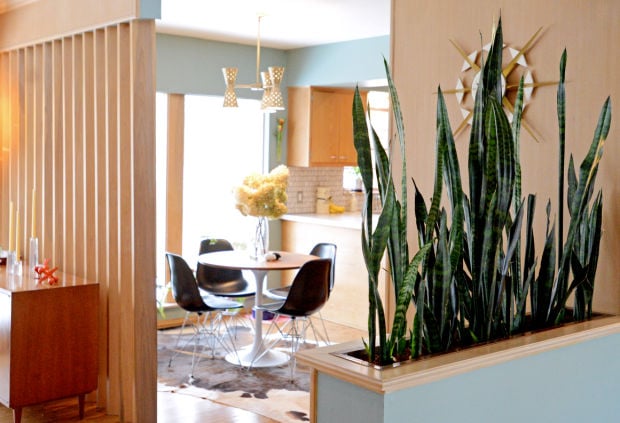 At Home with Mike Knoll and Jeff Daily