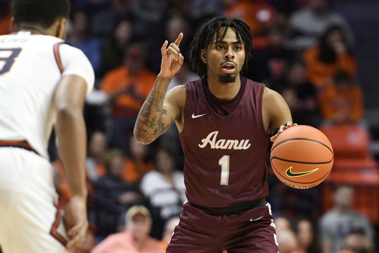 Illinois vs. Alabama A&M basketball video highlights, score, live updates
