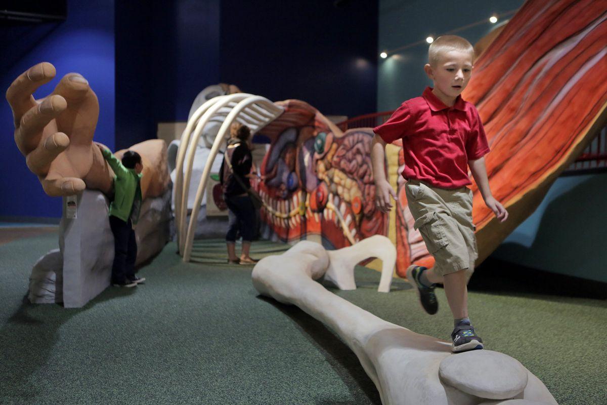 Kids health museum opens near Forest Park Business stltoday com