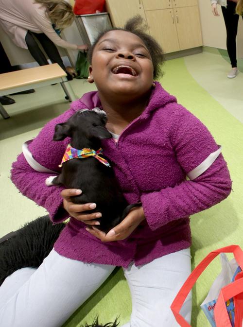 Puppies visit Children's Hospital on National Puppy Day
