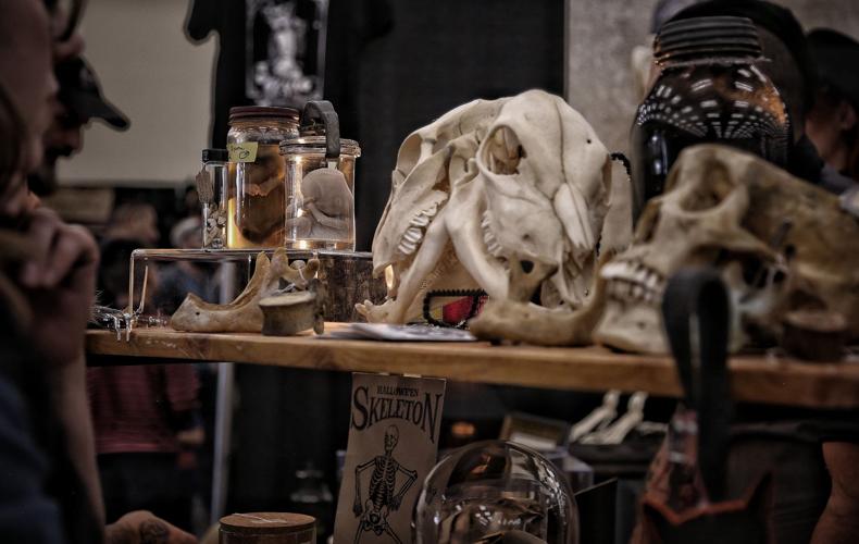 Strange things await when Oddities & Curiosities Expo visits our own weird  city | Hot List | stltoday.com