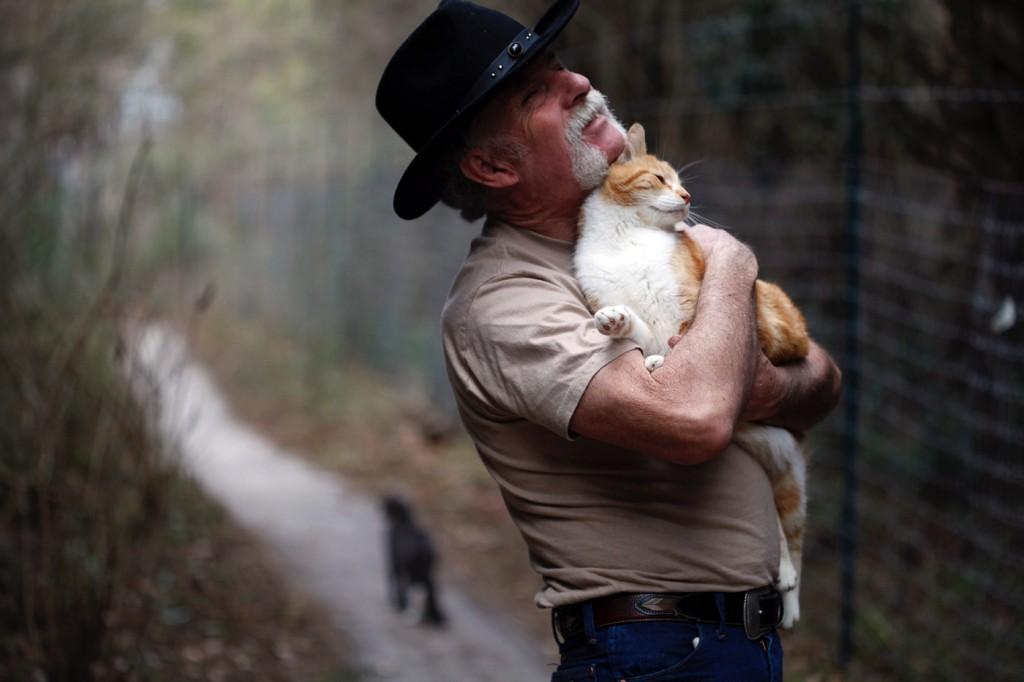 A Stray Of A Man Creates A Huge Cat Family In Fla Pets