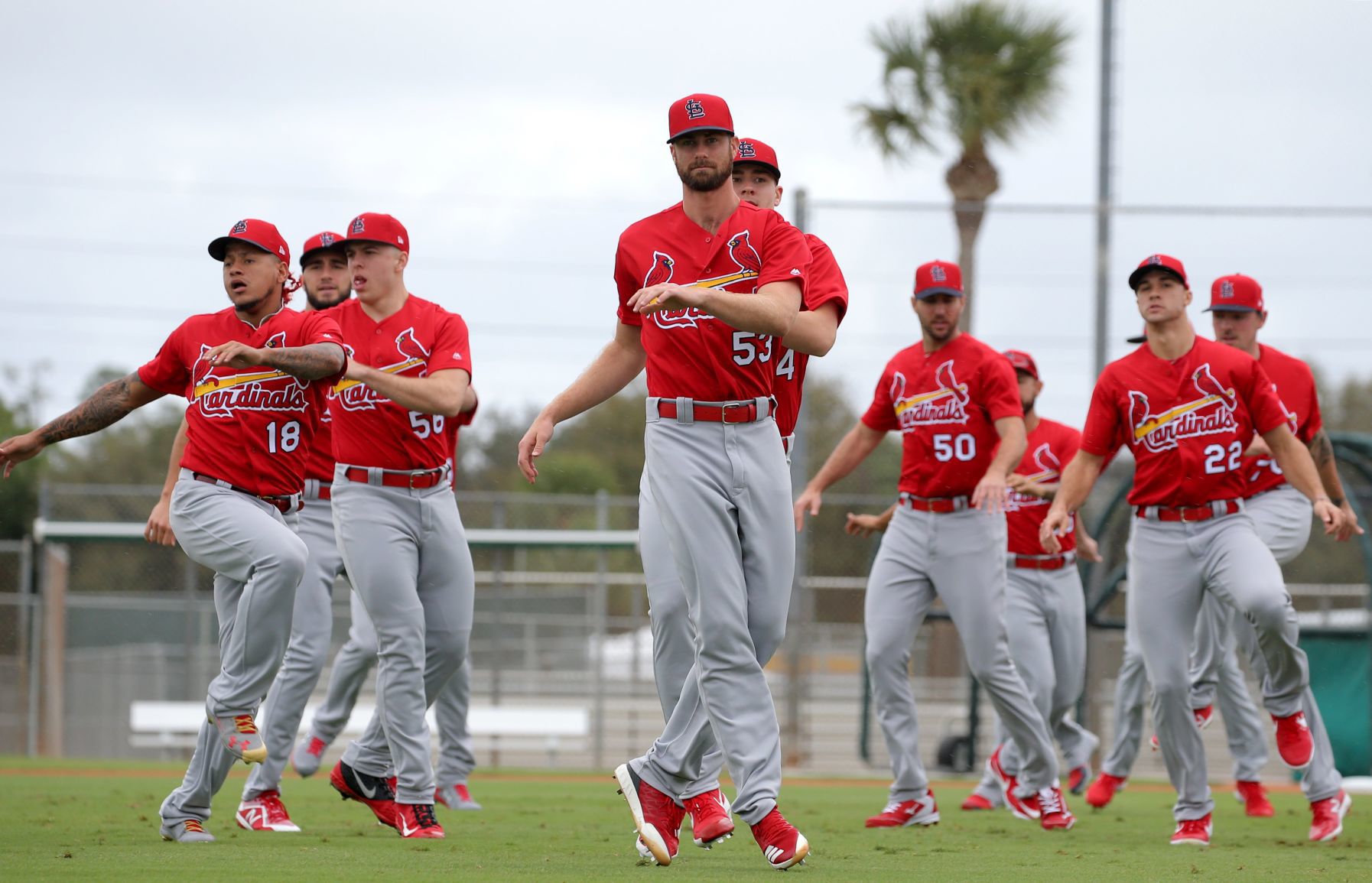 cardinals spring training jersey