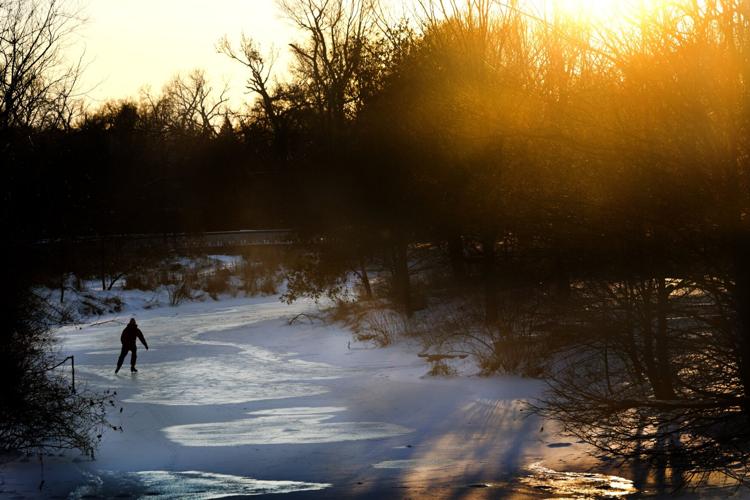 Frozen landscape in Forest Park