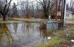 On the beat: Crickets and unanswered questions from Metro East government