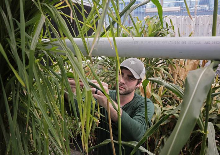 Danforth Plant Science Center president furthers the mission