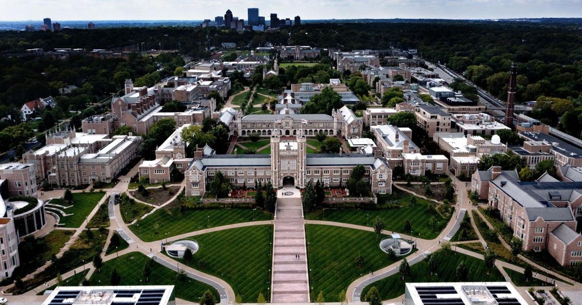 Washington University scrubs webpages of DEI content. ‘If you fight, you will be punished.’
