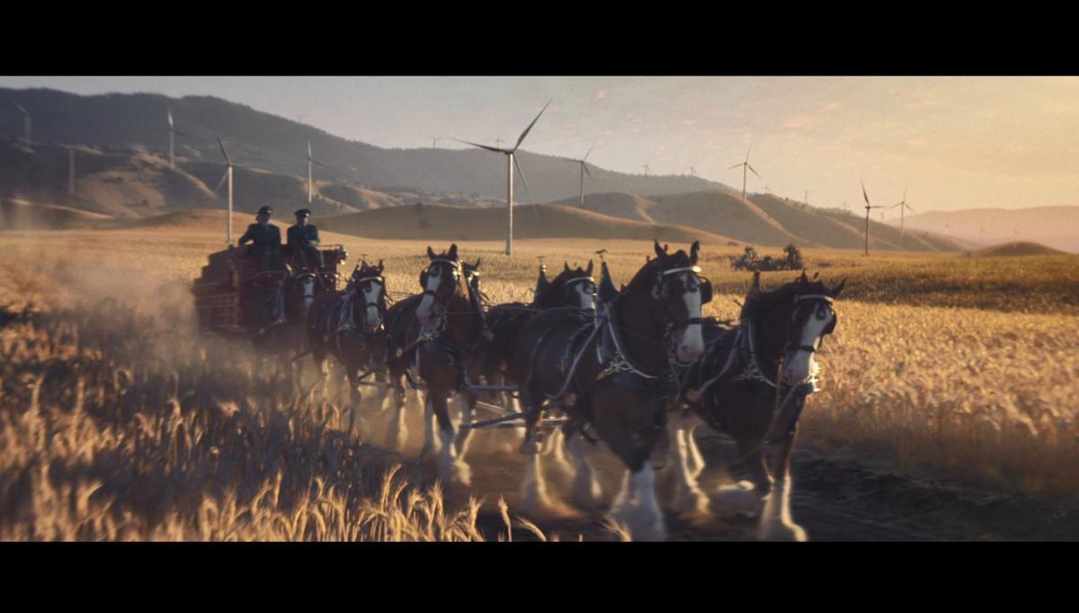 Wind Energy Commitment Takes Center Stage As Anheuser Busch Invests Heavily In Super Bowl Air Time Local Business Stltoday Com