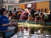 St. Louis Aquarium opens on Christmas Day