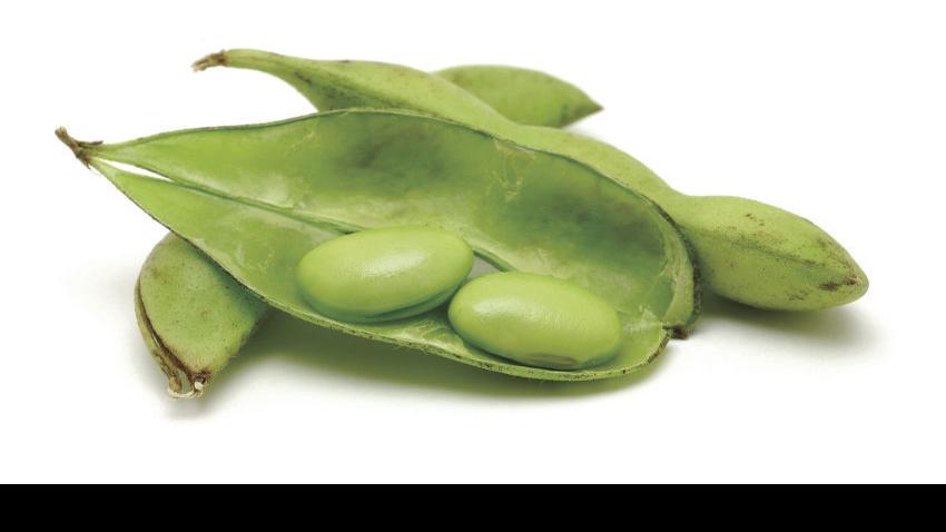 Here are 11 meat-free ways to get more protein