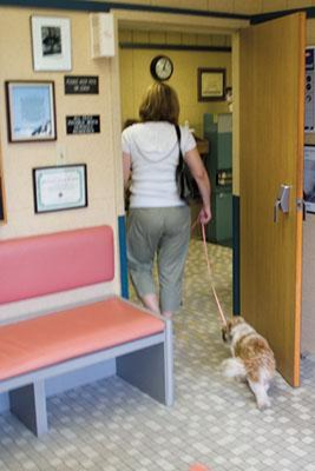 unflippable dog water bowl
