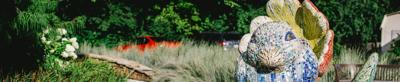 Eco-Ed Lecture: Blackburn Park Bird Sanctuary