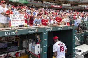 Cardinals see 'progress' in '26 attendance by stemming 2-year steep decline