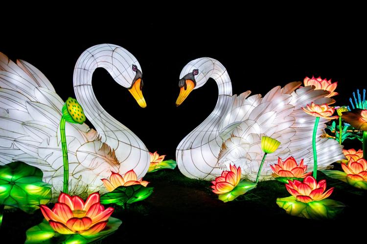 St. Louis Zoo to host Animals Aglow Lantern Festival this spring