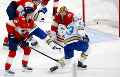 Blues Panthers Hockey