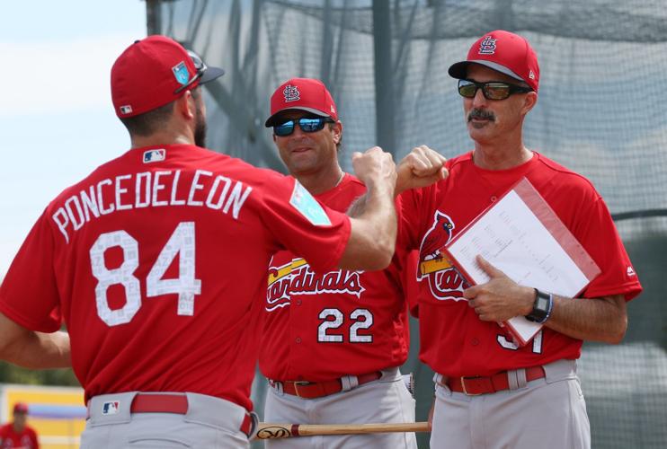 Cardinals place Kim (elbow inflammation) on IL, activate Ponce de Leon  National News - Bally Sports