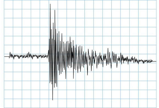 Earthquake Rumbles In Missouri's Bootheel