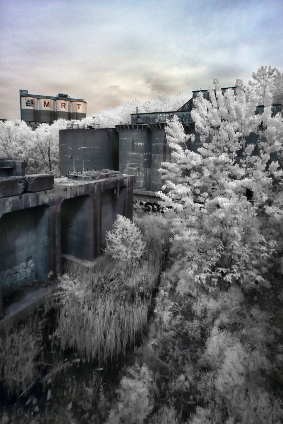 Family plans to finish what Cementland creator started Metro