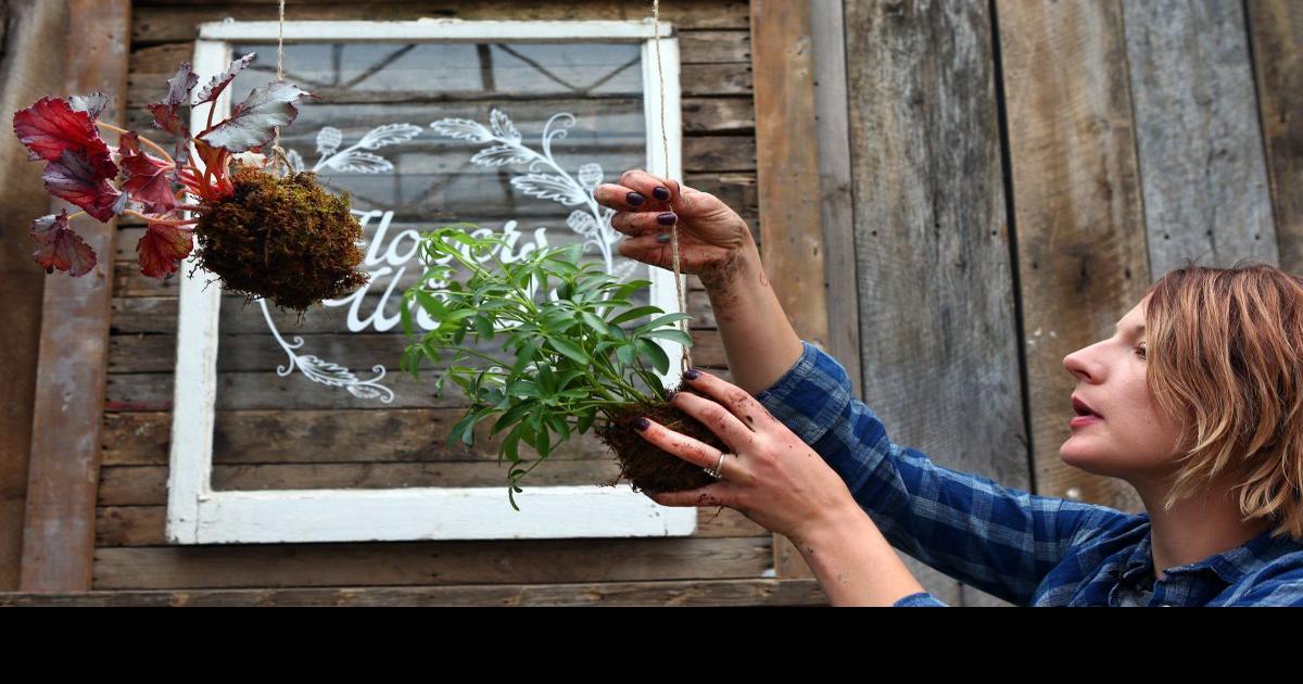 String gardens take houseplants to new heights