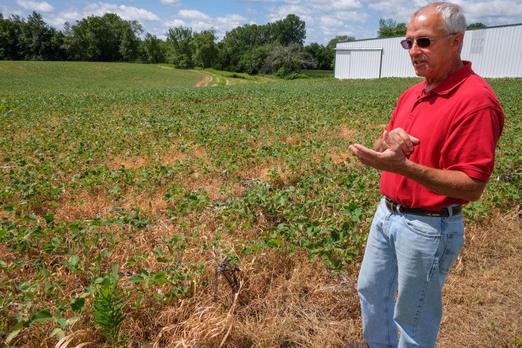 Midwestern Farmers Wage War Against Superweeds Local Business