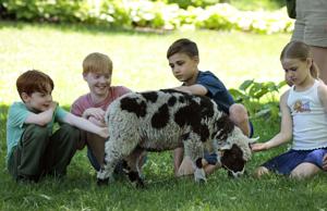 St. Louis Zoo readies animals, grounds for Destination Discovery kids zone