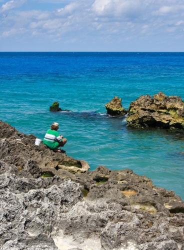 Ascension Health plans $2 billion Cayman 'health city' project