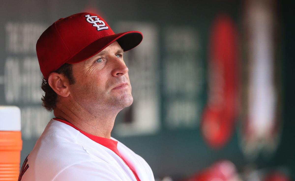 Mike Matheny and Dan Buck propose monumental sports complex in Chesterfield | Metro | 0