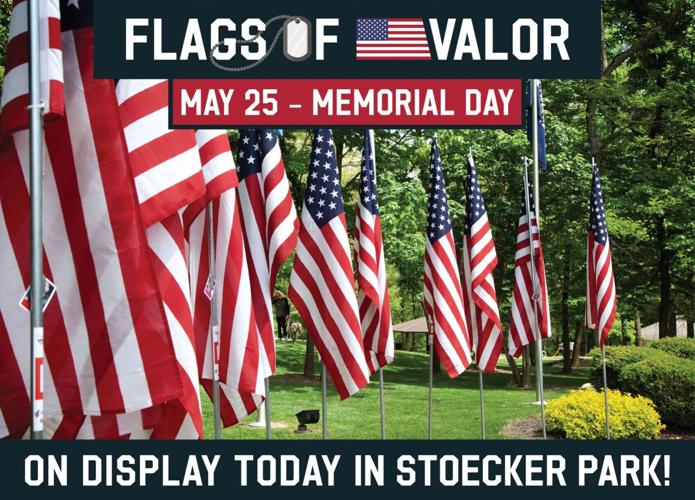 Flags of Valor on Display This Memorial Day