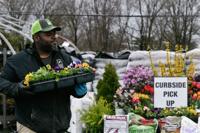 Nurseries Go Curbside Plant Stores Salvage Spring Local Business Stltodaycom