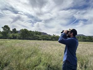 BioBlitzers catalog wildlife in U.S., Mexico as walls go up along border