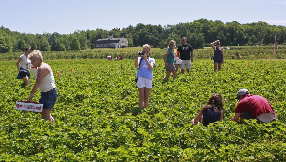 Small Lakeside Michigan Towns Make For Perfect Family Vacation Travel Stltoday Com