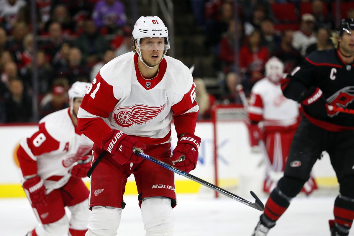 Red Wings Hurricanes Hockey