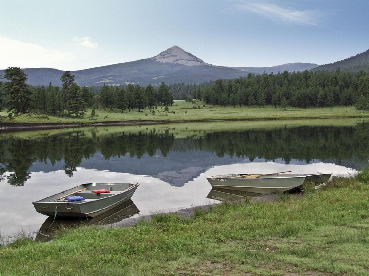 A North American safari Explore animals and more in New Mexico reserve