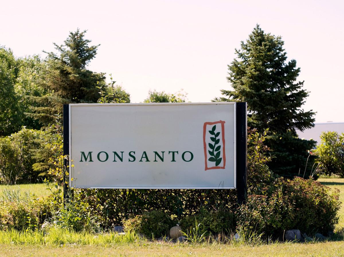 Monsanto's research farm is pictured near Carman