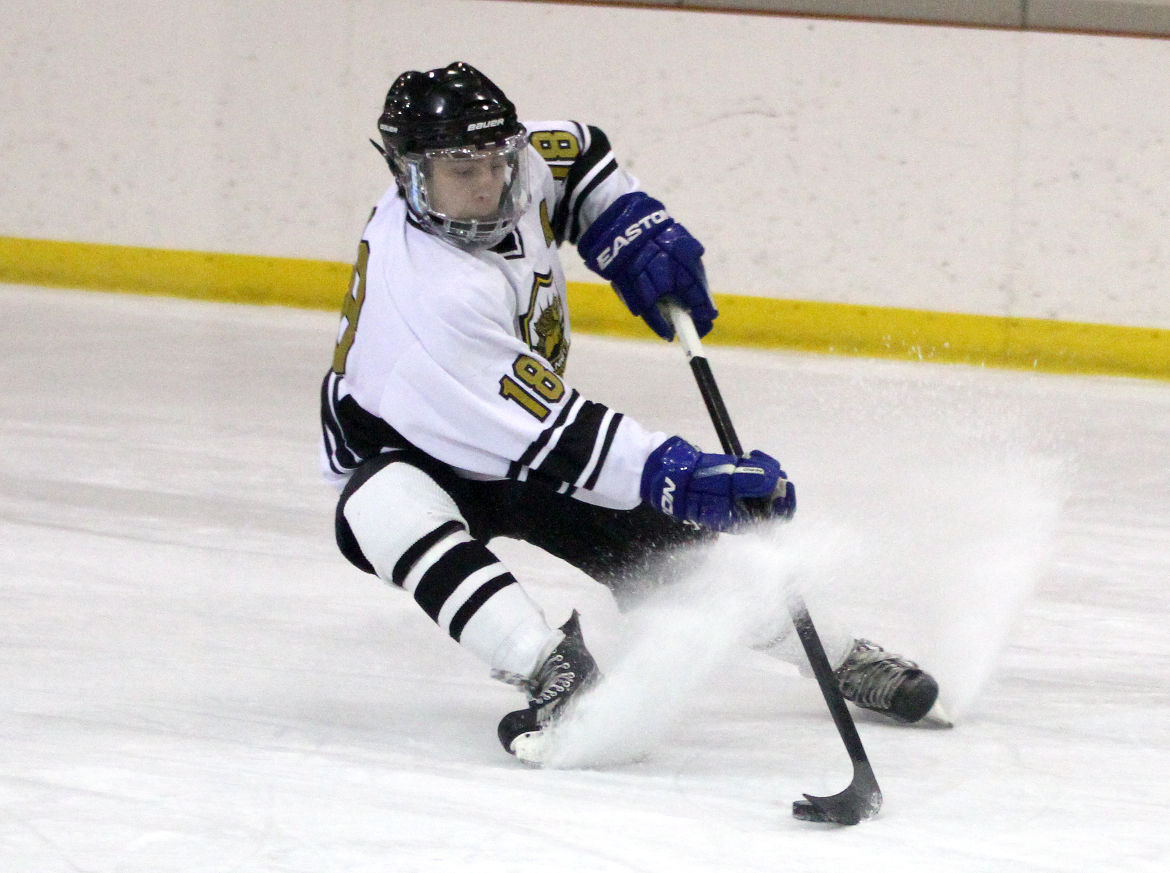 Skaggs, Zahoran help Vianney get back on winning track | High School Hockey | stltoday.com