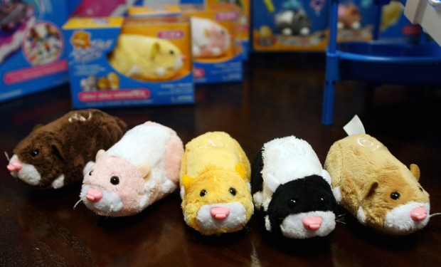 Zhu Zhu Pets Are the Season's Hottest Toy - The New York Times