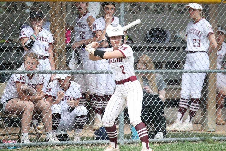 RED_BUD_12_PB.JPGSTL1050034981