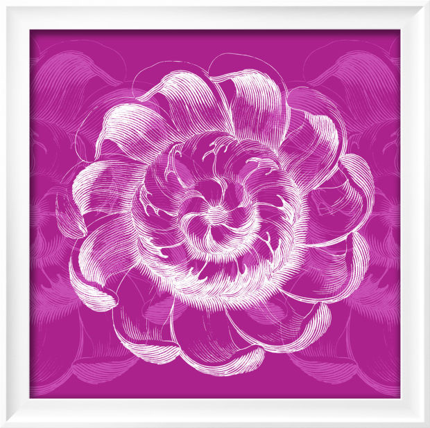 Put A Little Radiant Orchid The Color Of The Year In Your Life Home   53317d749fa81.image 