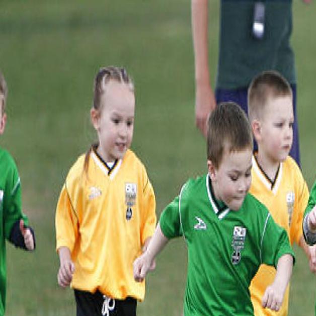 Horrigan The Dry Season No More Beer At Kids Soccer Games Guest Columnists Stltoday Com