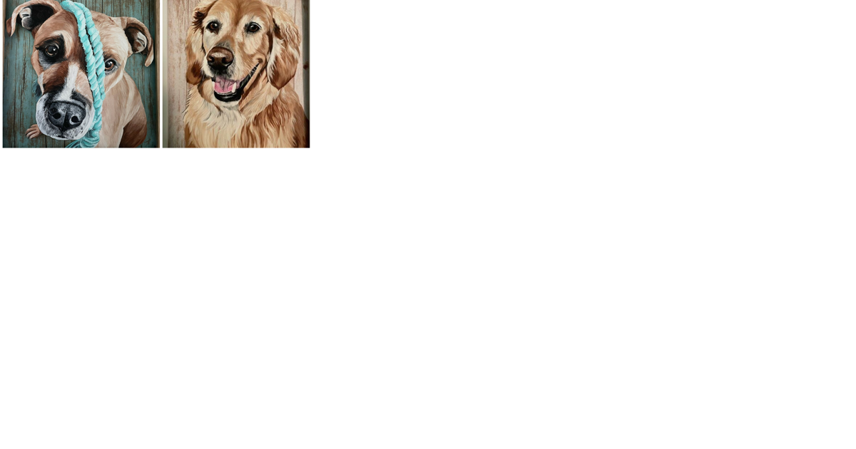 Made in St. Louis: Pet portraits fuel teacher's artistic passions - Vimarsana News
