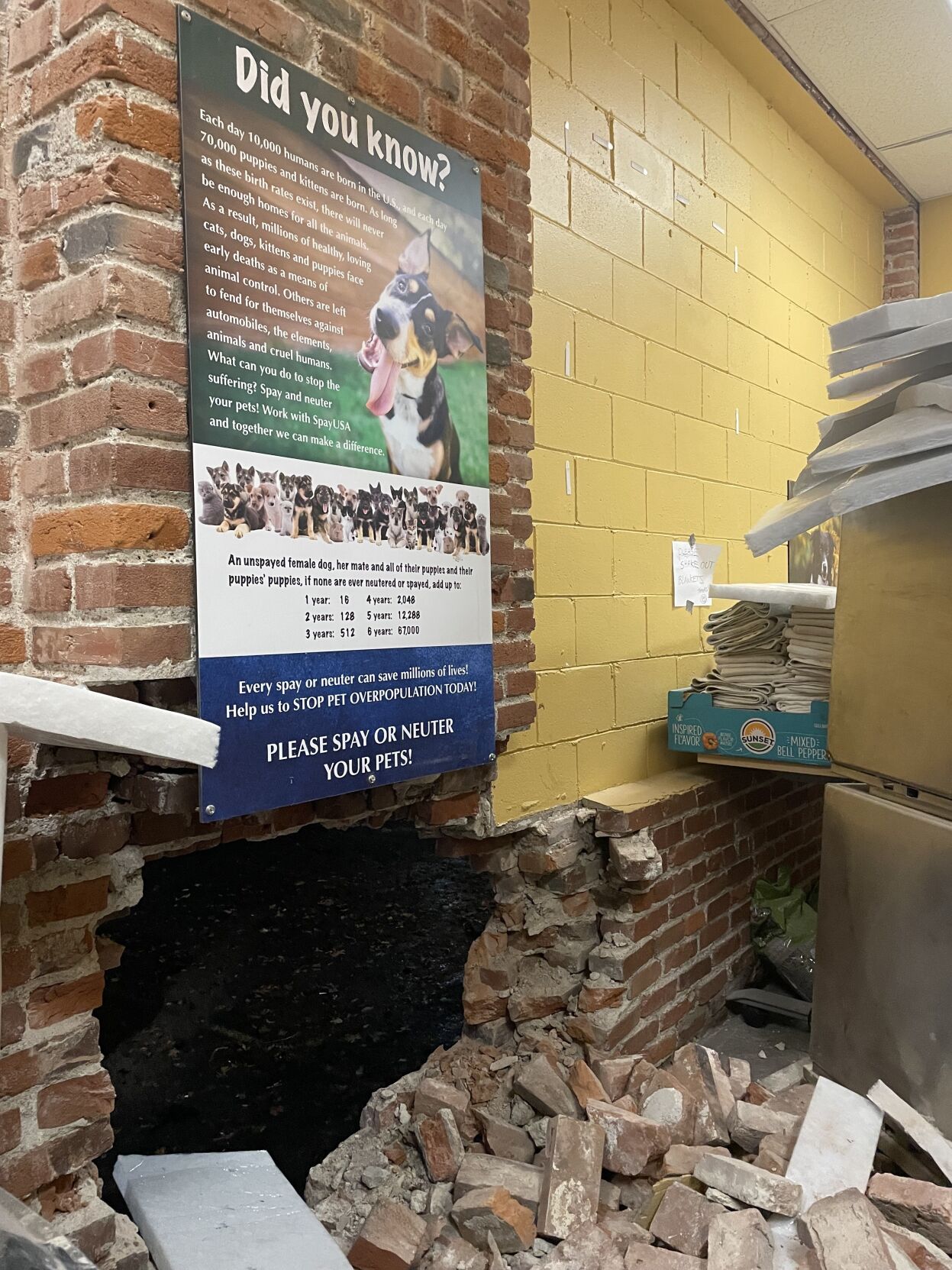 Car crashes into 51 pet clinic on Jefferson Ave.